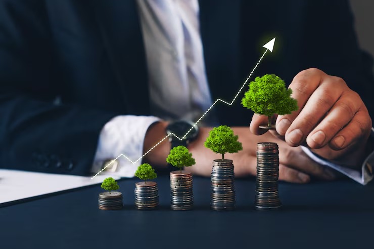 Investment Advisory Services